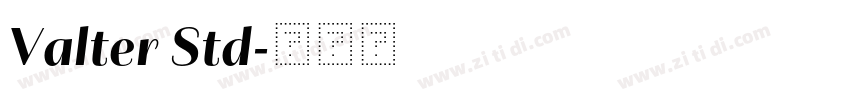 Valter Std字体转换